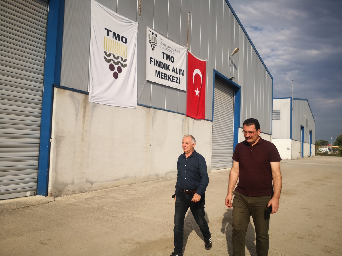 Yavuz 