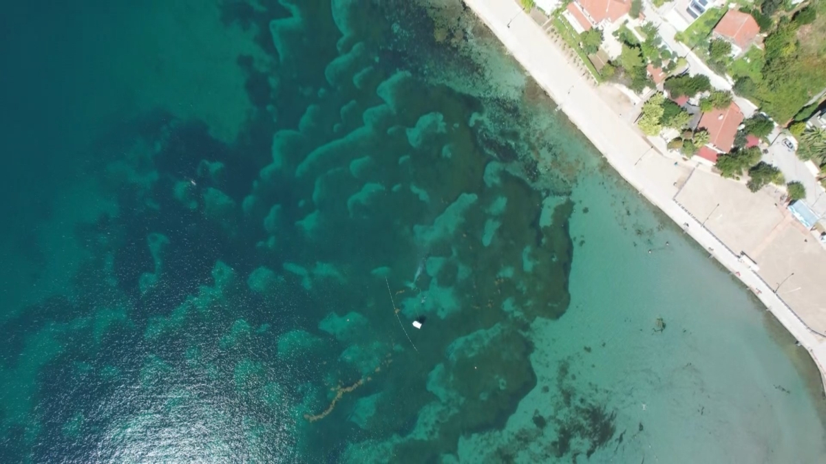 Karadeniz’de heyecanlandıran gelişme