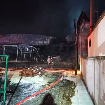 Herhangi bir kimyasala rastlanılmadı