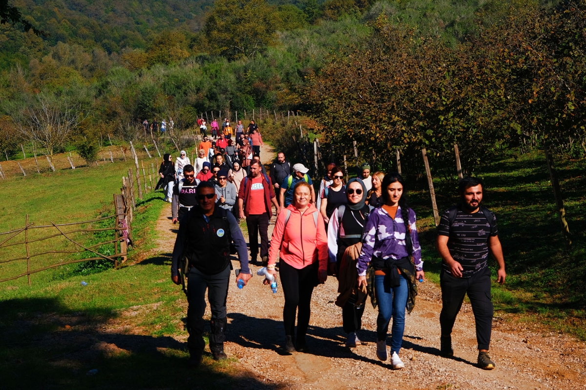 Sonbaharın renkleri