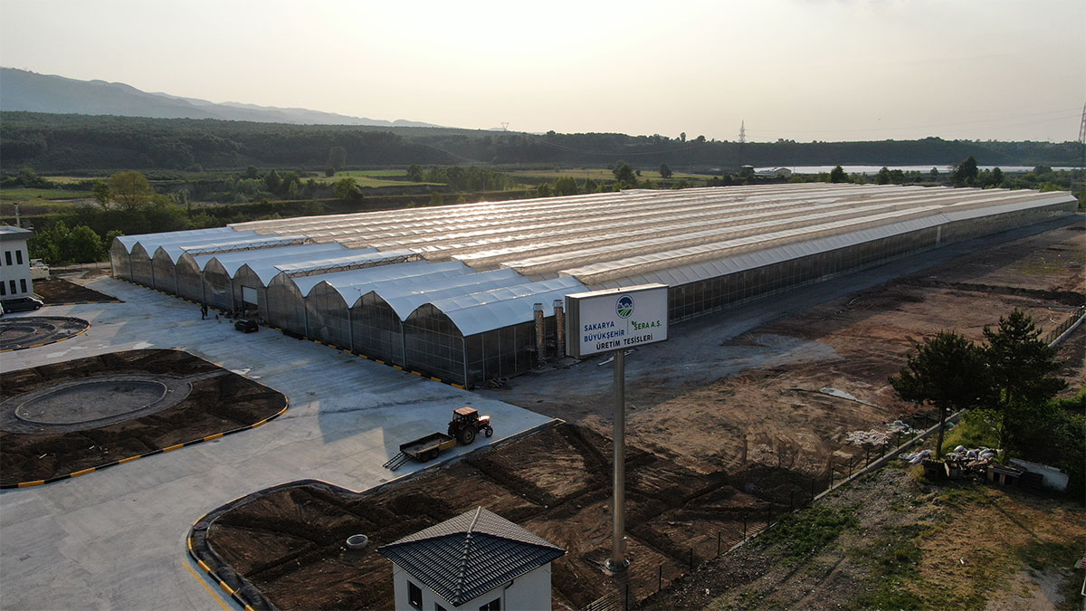 Büyükşehirden 4 ayda 550 ton domates