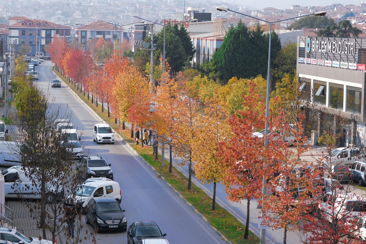 Harika bir görüntü