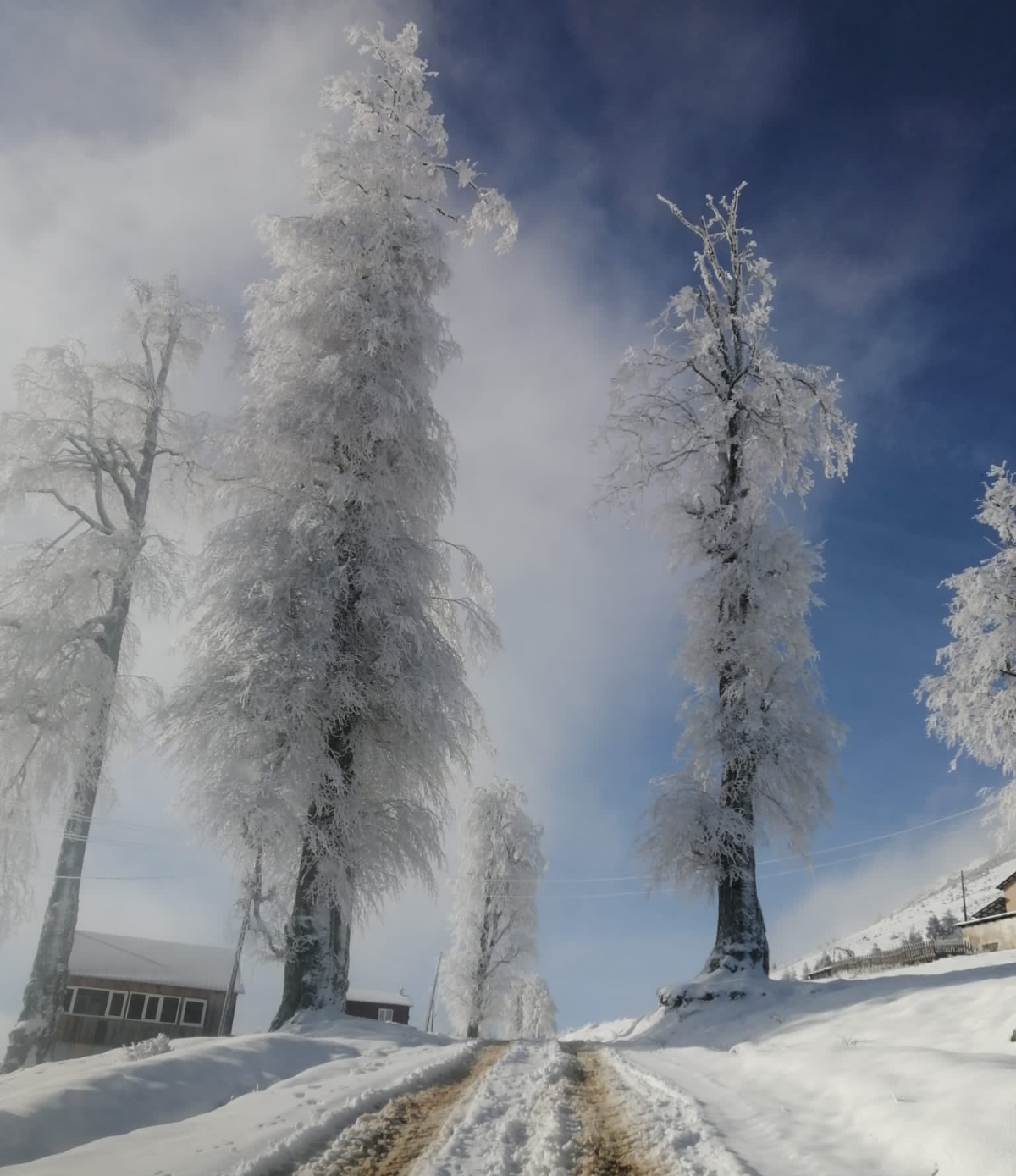 Kar ve Sakarya