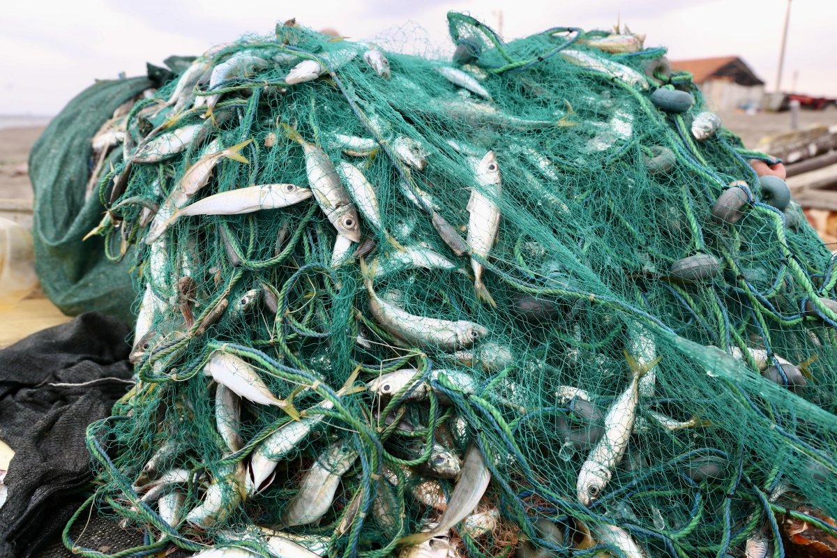 İyi kötü ekmek parası kazanıyoruz