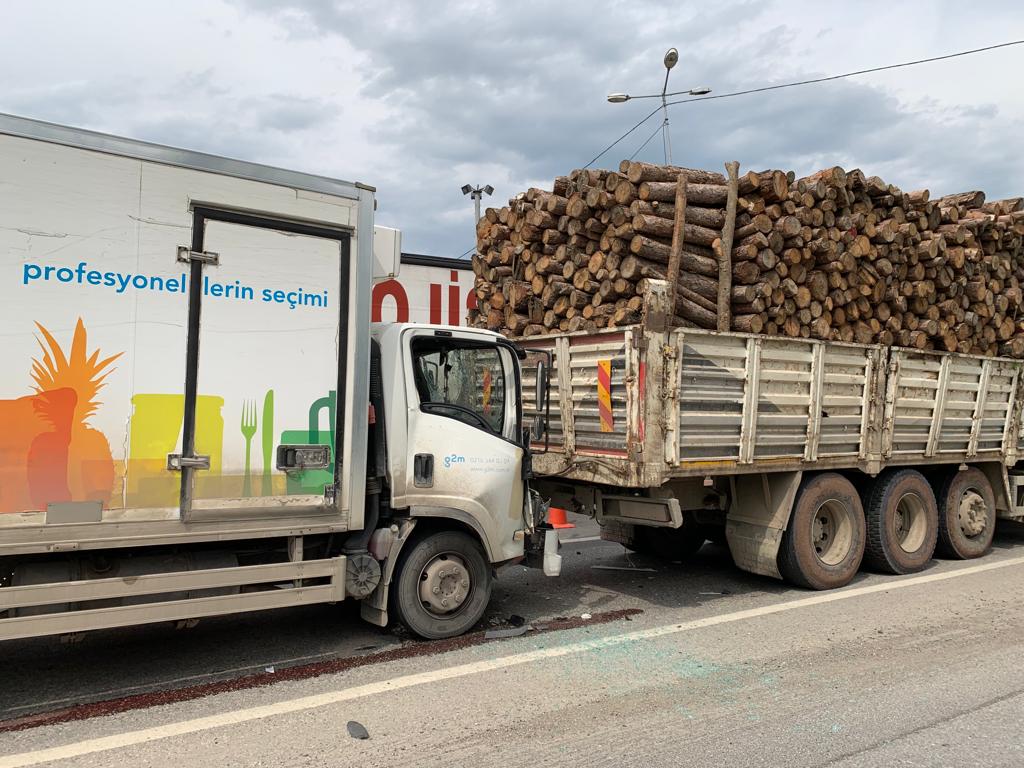Tomruk yüklü kamyona çarptı