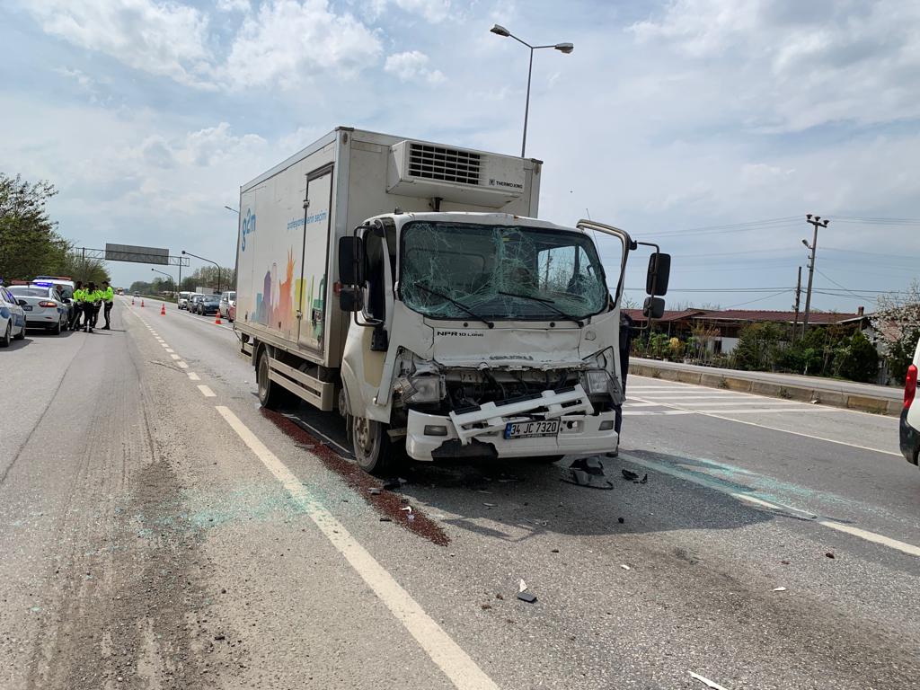 Tomruk yüklü kamyona çarptı