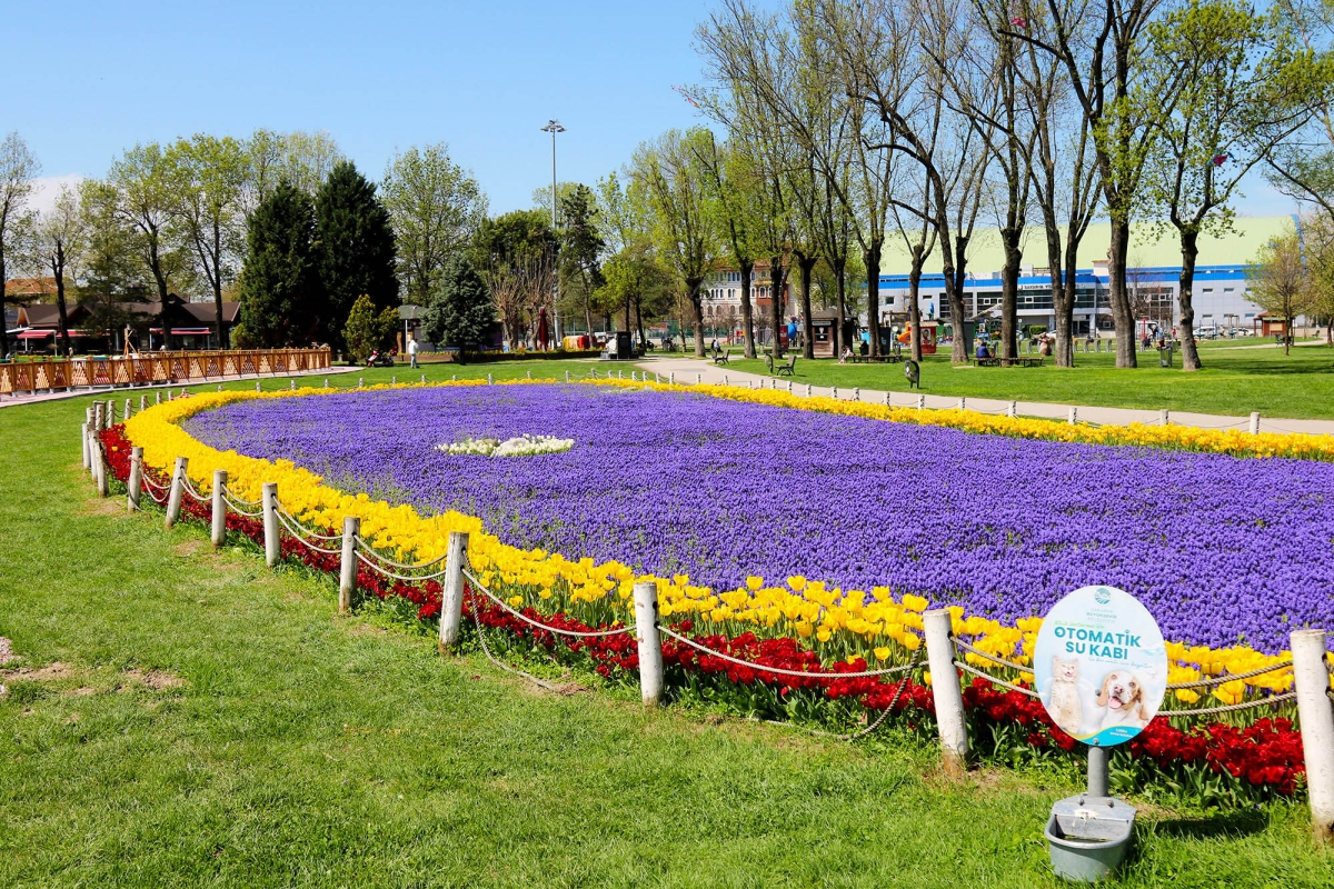 Sakarya'da Renk cümbüşü