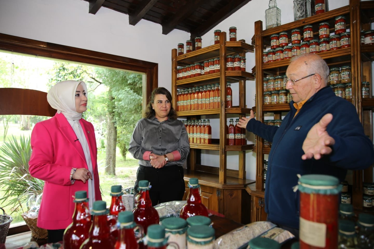 Çiğdem Erdoğan Atabek