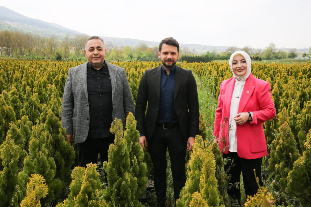 Çiğdem Erdoğan Atabek
