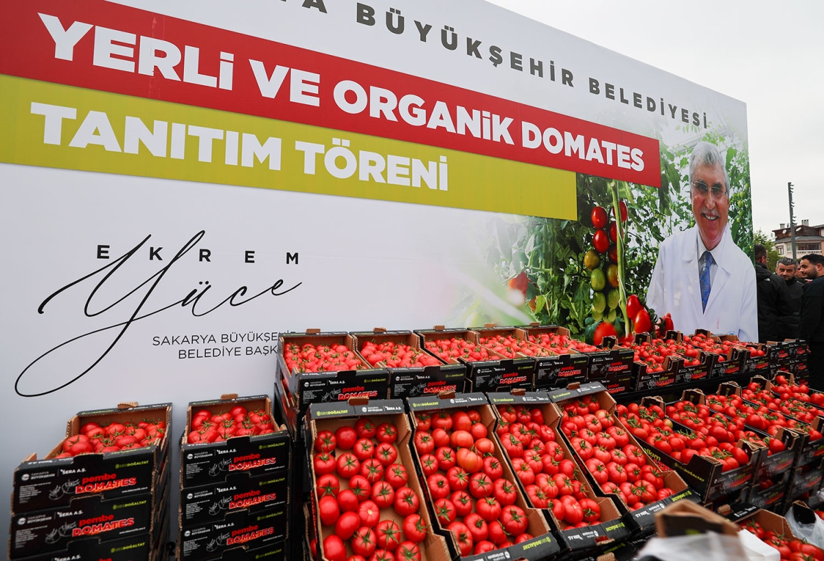 Dünya’ya örnek proje