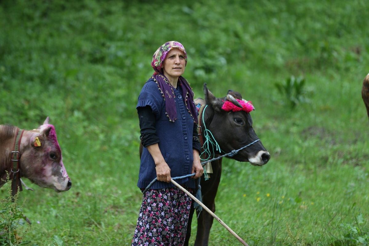 Yaylacıların renkli göç yolculuğu başladı