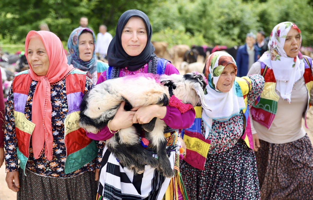 Yaylacıların renkli göç yolculuğu başladı