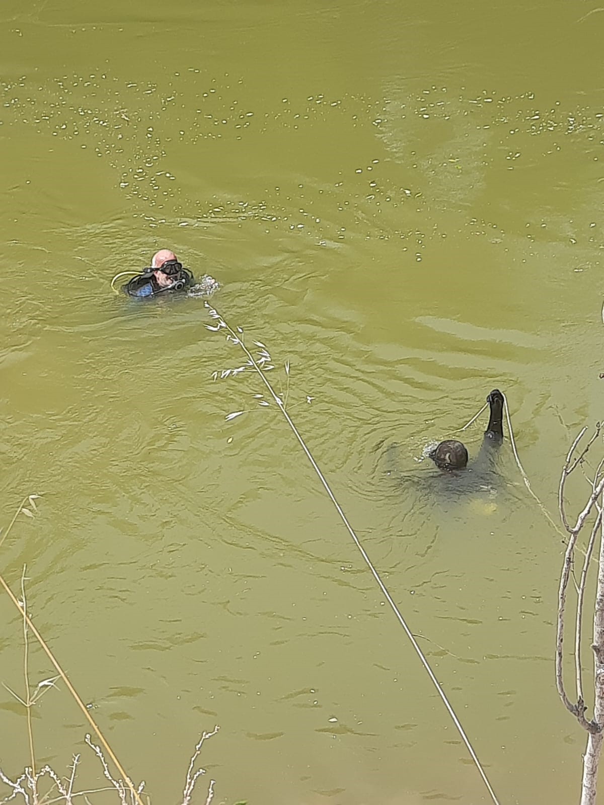 Sakarya Nehri'ne düşen kamyonet çıkartıldı