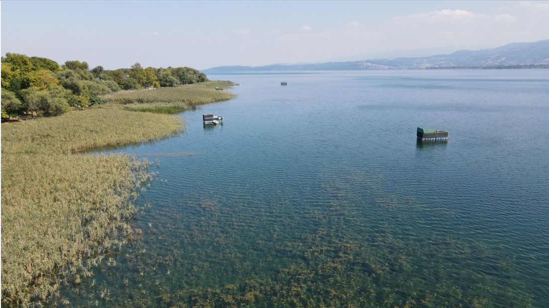 Sapanca Gölü'nde hayalet ağlar temizlenecek