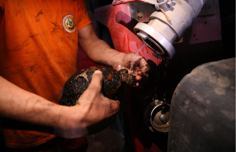 Sakarya'da orman yangını
