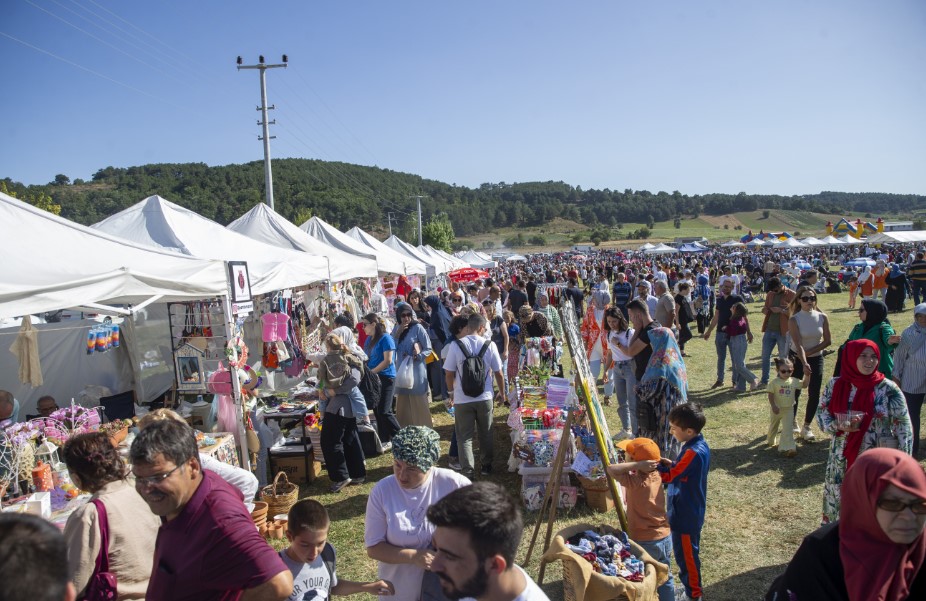 Sakarya'da Çilek Festivali düzenlendi