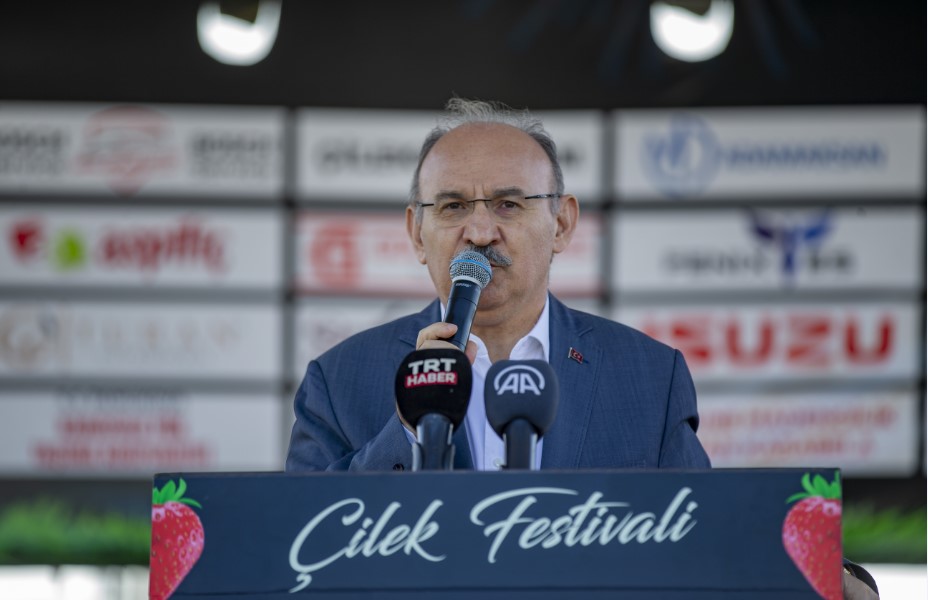 Sakarya'da Çilek Festivali düzenlendi