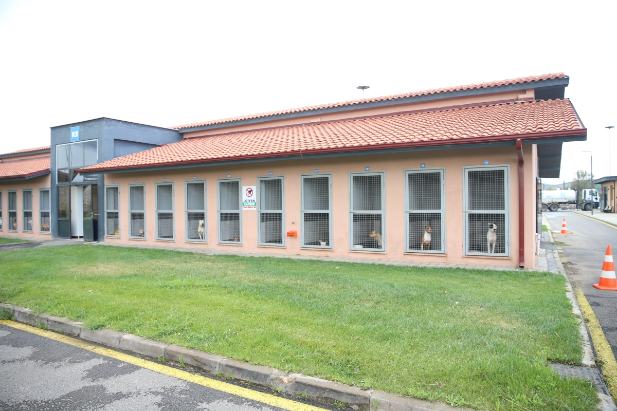 Sokak Hayvanları Geçici Bakımevi ve Rehabilitasyon Merkezi