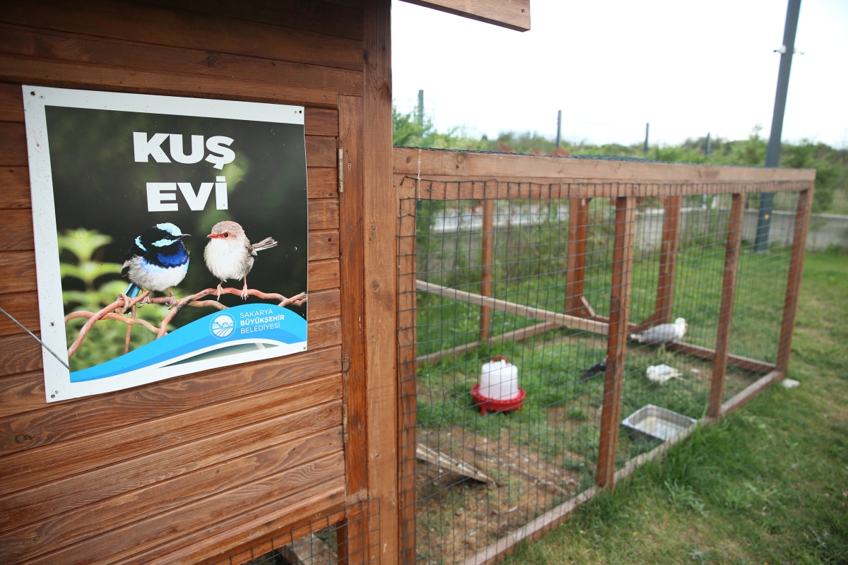 Sokak Hayvanları Geçici Bakımevi ve Rehabilitasyon Merkezi