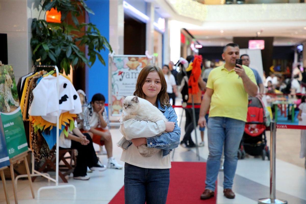 Pati Festivali Yapıldı