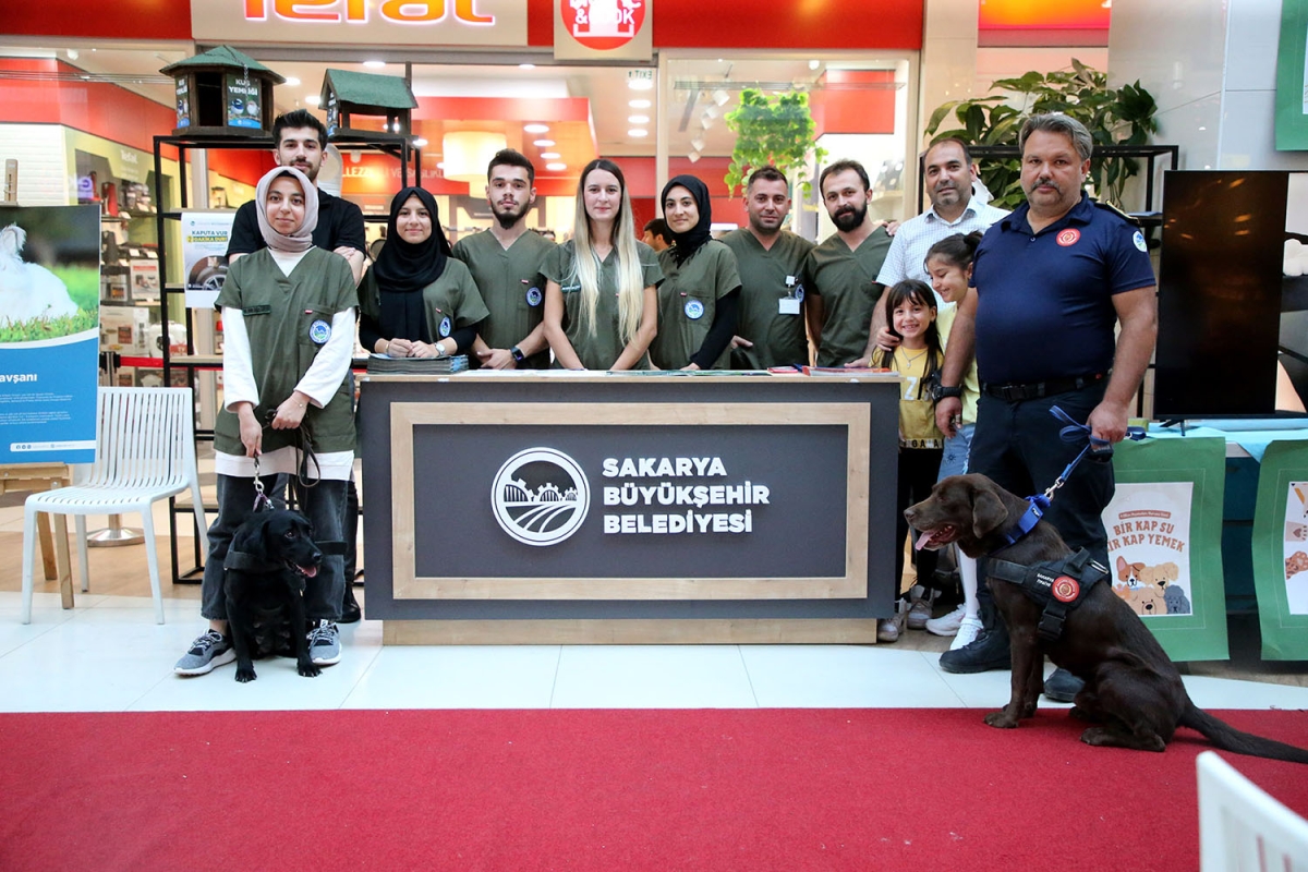 Pati Festivali Yapıldı
