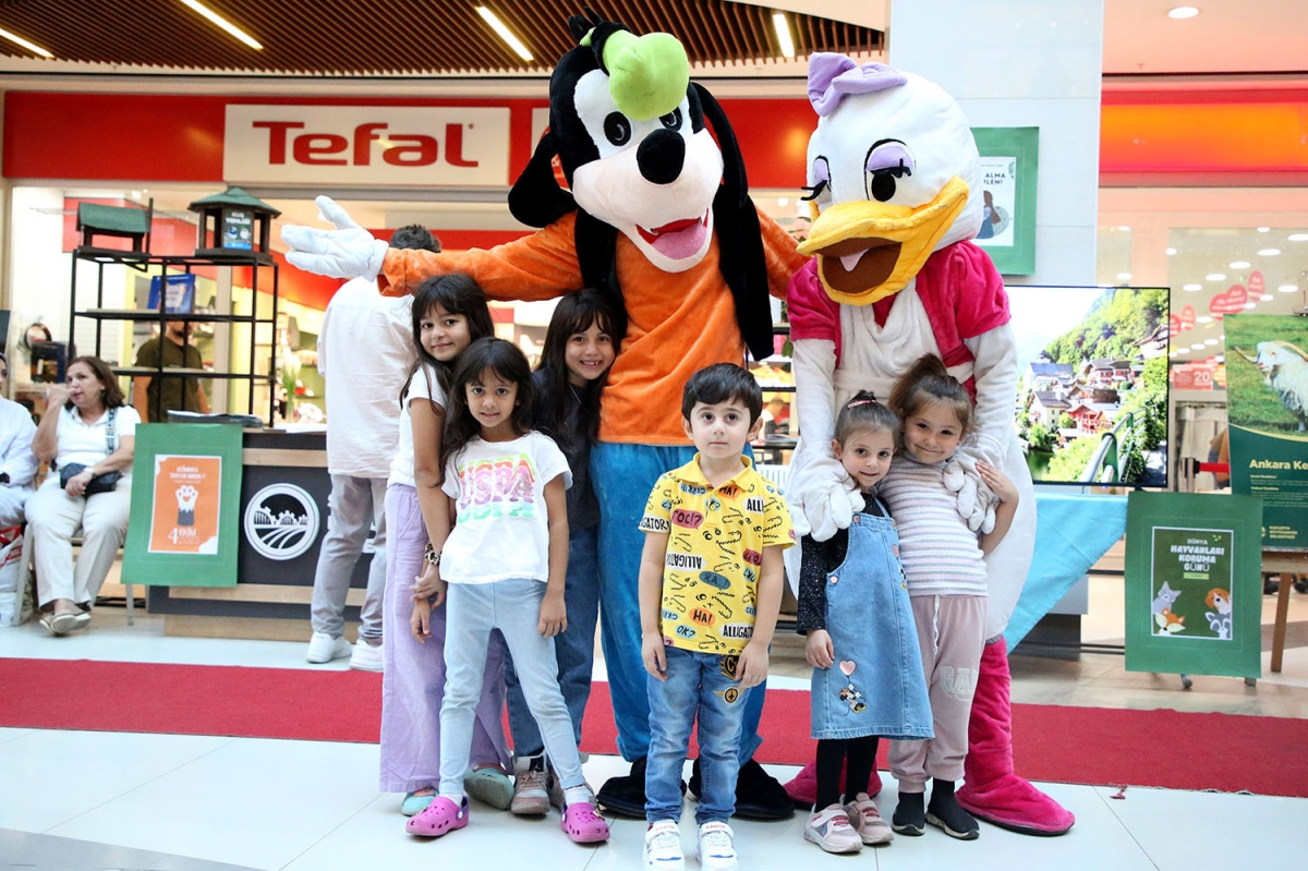 Pati Festivali Yapıldı