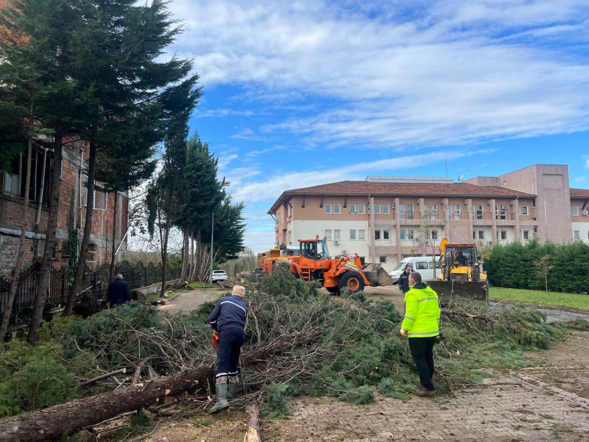 Sakarya'da sağanak ve şiddetli rüzgar