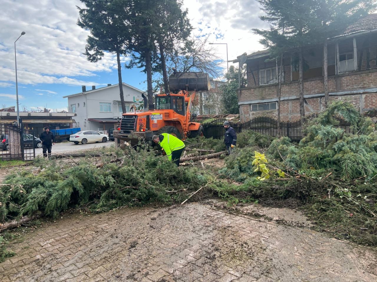Sakarya'da sağanak ve şiddetli rüzgar