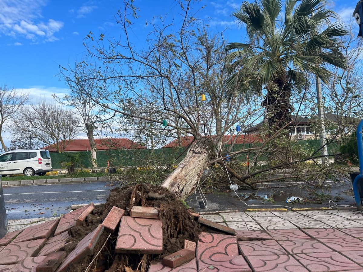 Sakarya'da sağanak ve şiddetli rüzgar
