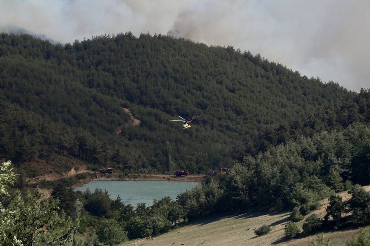 Sakarya'da ormanlık alanda çıkan yangına müdahale ediliyor