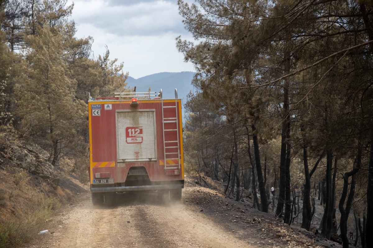 Sakarya'da çıkan orman yangınında söndürme ve soğutma çalışmaları sürüyor