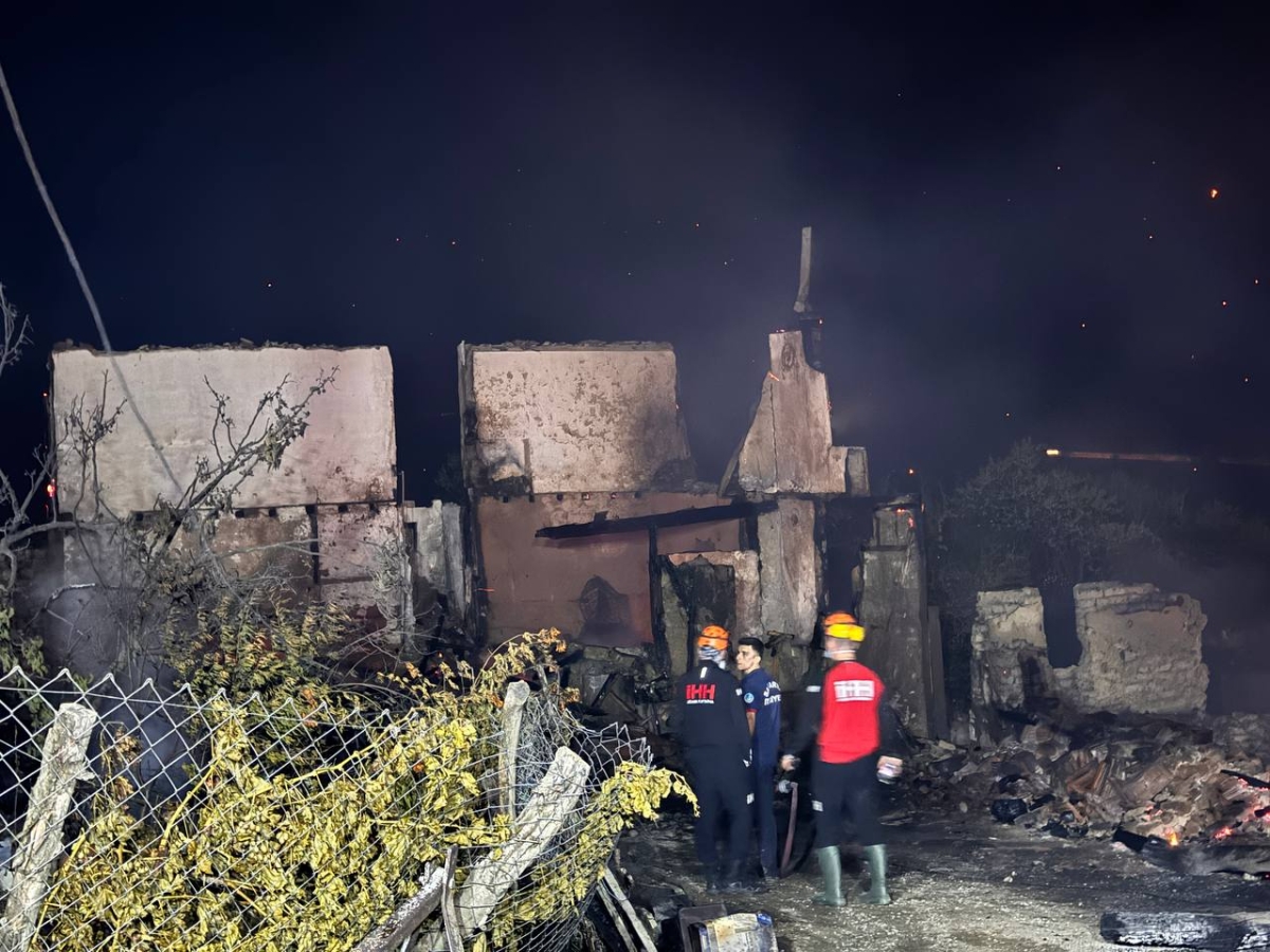 Sakarya'da çıkan orman yangını nedeniyle iki mahalle tahliye edildi