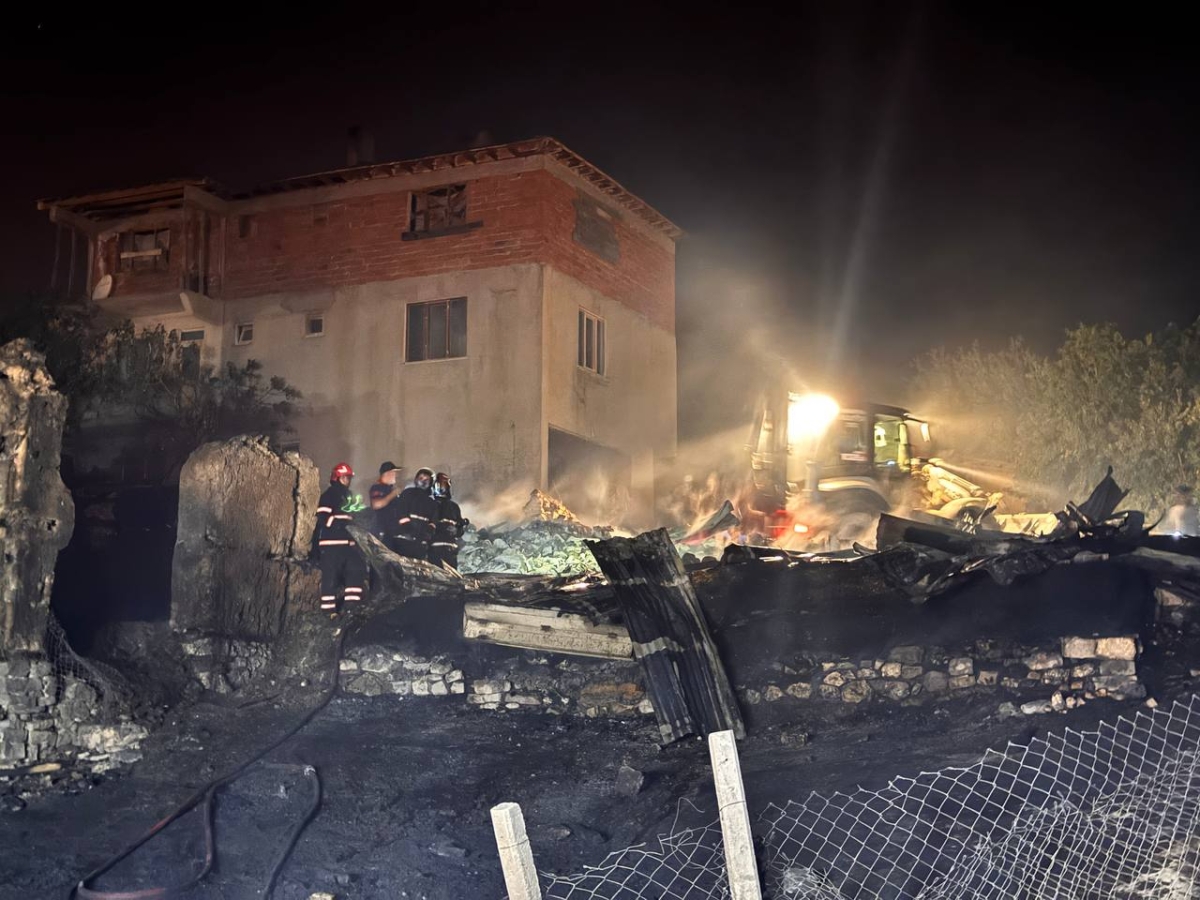 Sakarya'da çıkan orman yangını nedeniyle iki mahalle tahliye edildi
