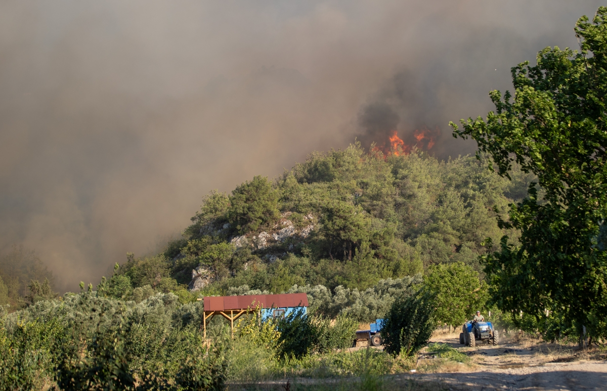 Sakarya'da ormanlık alanda çıkan yangına müdahale ediliyor