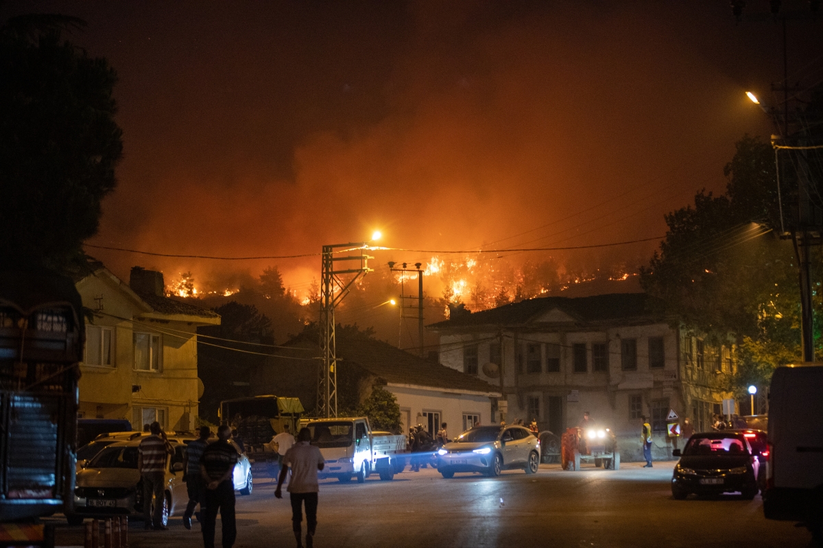 Sakarya'da ormanlık alanda çıkan yangına müdahale ediliyor