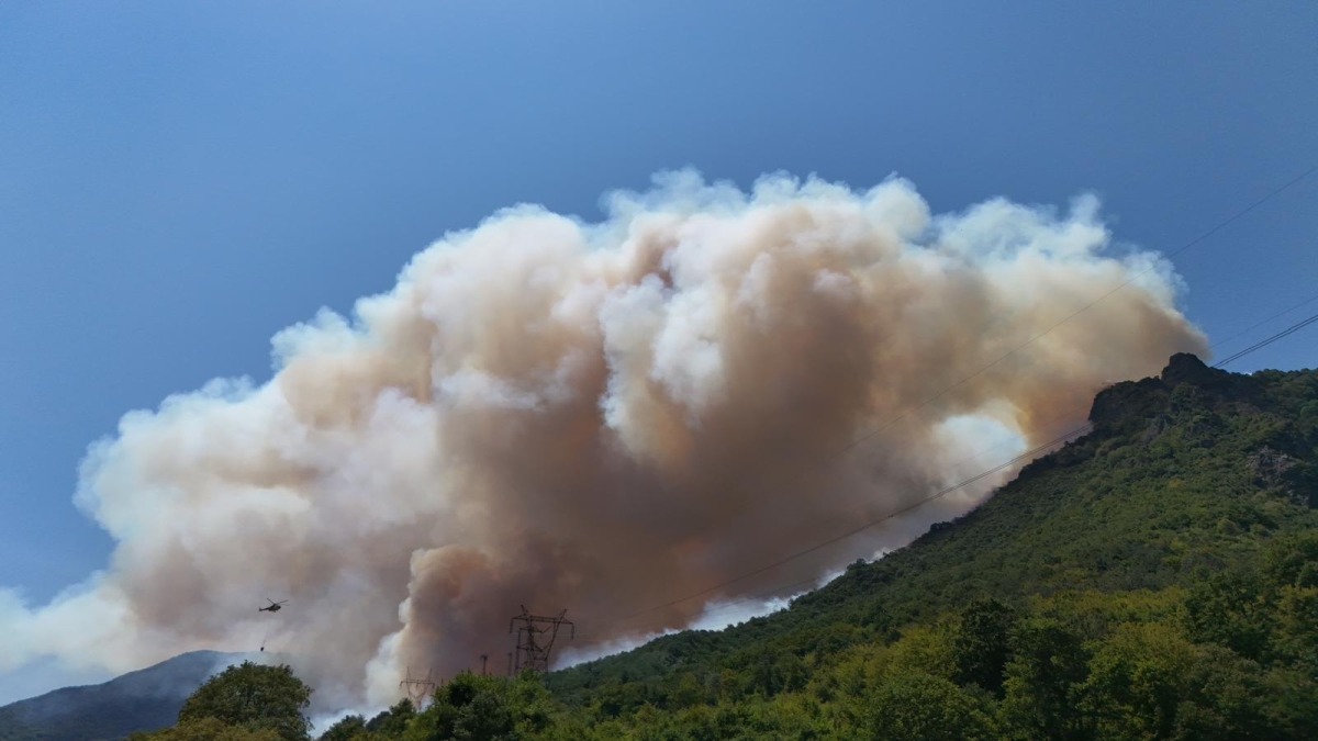 Sakarya'da ormanlık alanda çıkan yangına müdahale ediliyor