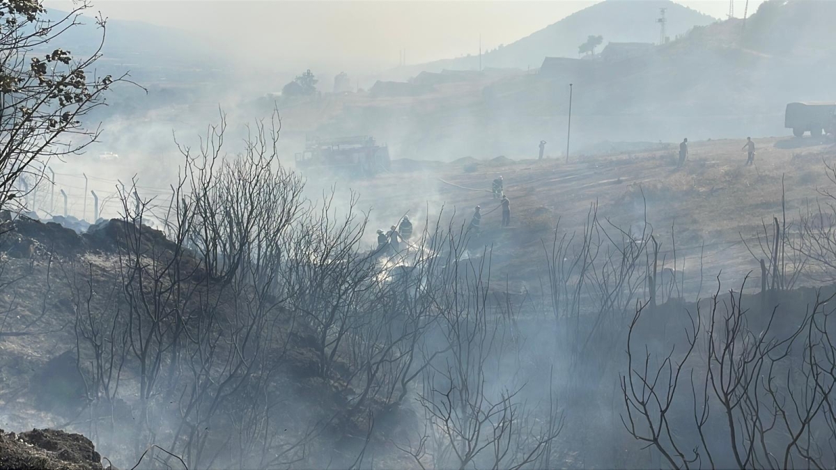  Sakarya'da makilik alanda çıkan yangın kontrol altına alındı