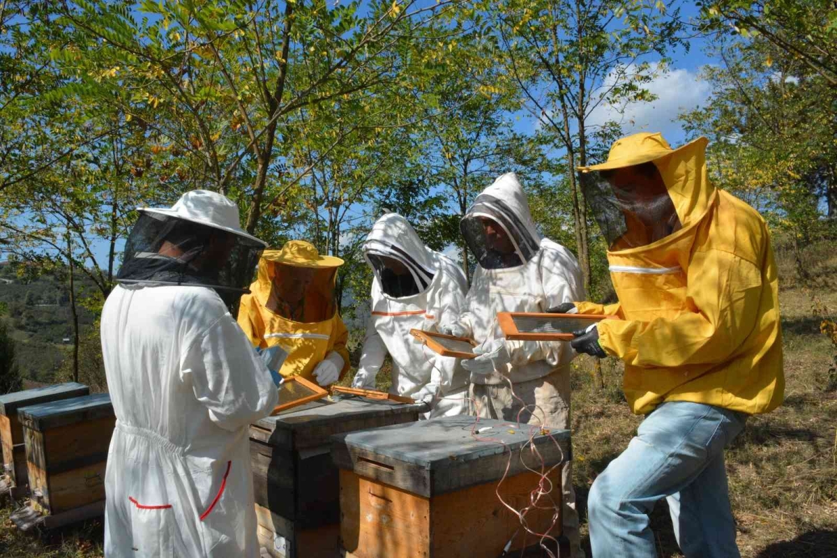 Sıcak hava nedeniyle besin tüketimi artan arılar için takviye tavsiyesi