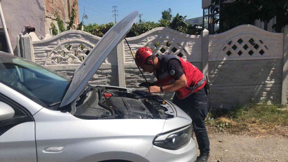 Otomobilin motor kısmına giren afacan kediyi itfaiye kurtardı
