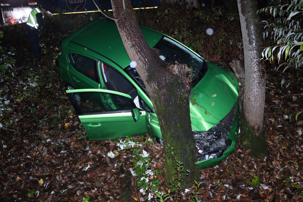 Akyazı'da ağaçlara çarpan otomobildeki 2 kişi yaralandı