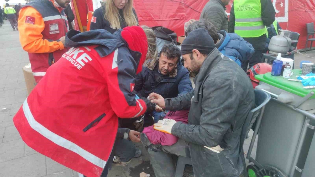 135 saat sonra enkazdan çıkan kedi tedavi altına alındı

