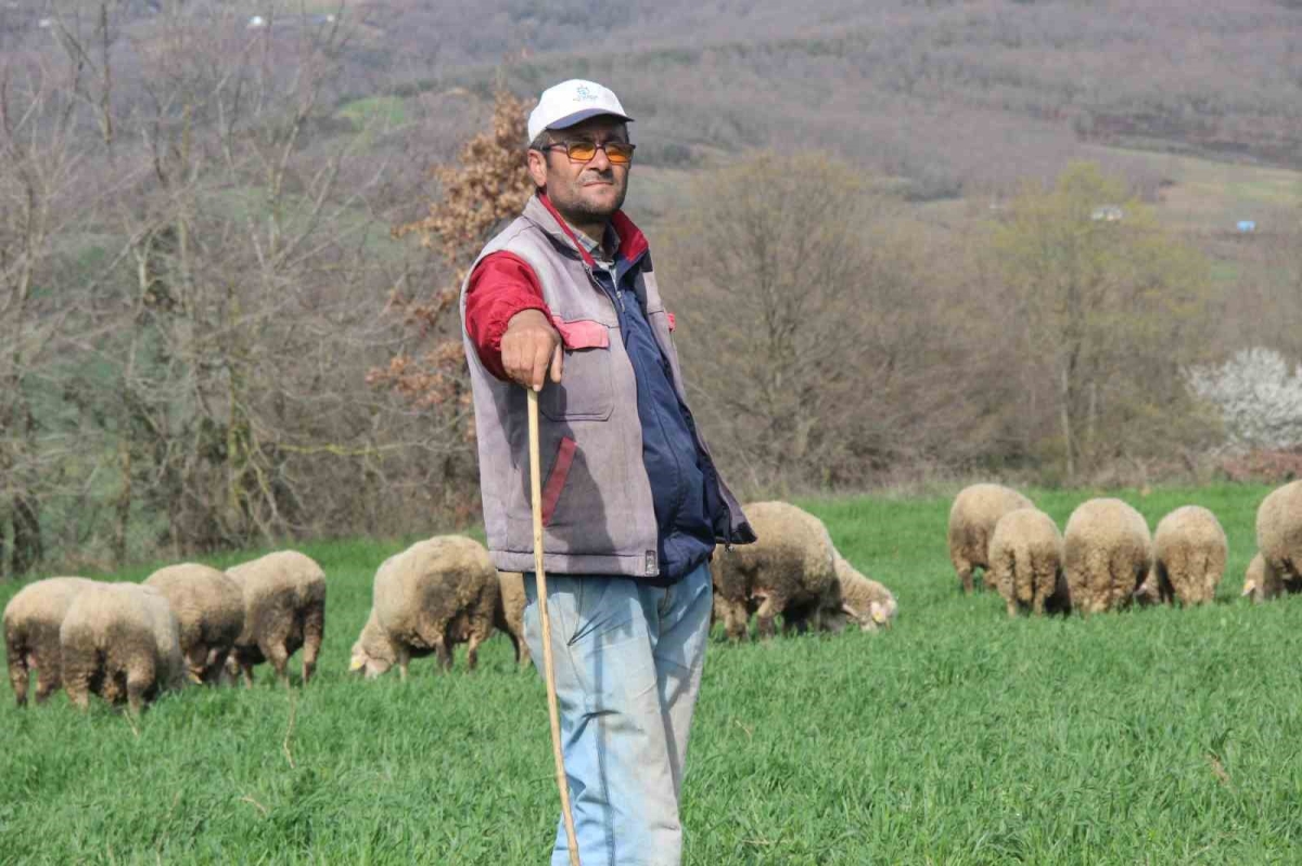 Şehir hayatından sıkıldı, 55 yaşında çobanlık yapmaya başladı
