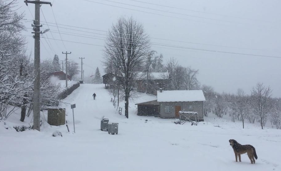 Sakarya'ın yüksek kesimlerinde kar etkili oldu