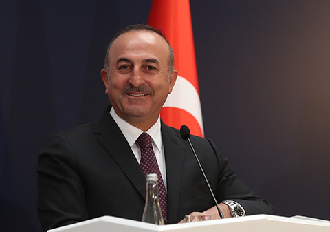 Dışişleri Bakanı Çavuşoğlu Sakarya'da