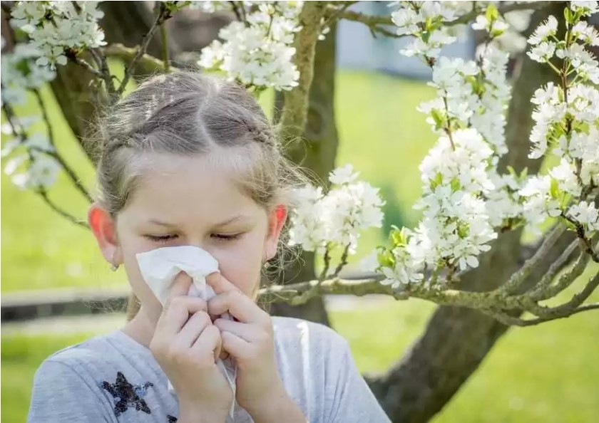 Polen alerjisi olanlar dikkat
