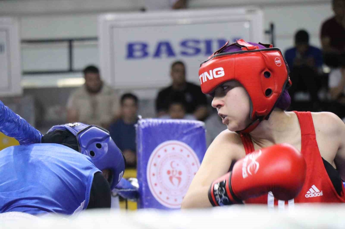 Sakarya'da Türkiye Ferdi Boks Şampiyonası’nda mücadele devam ediyor
