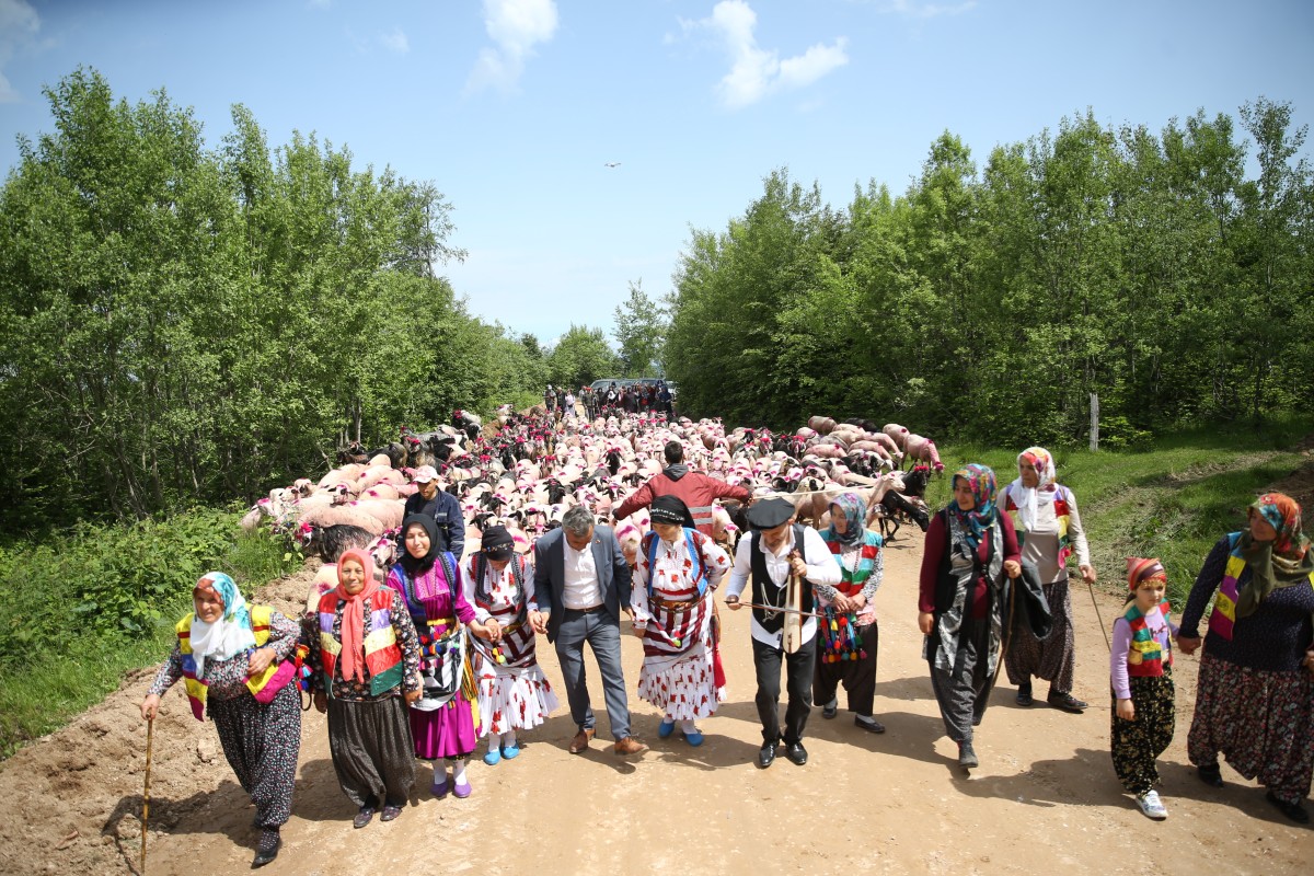 Sakarya'da yaylacıların renkli göç yolculuğu başladı