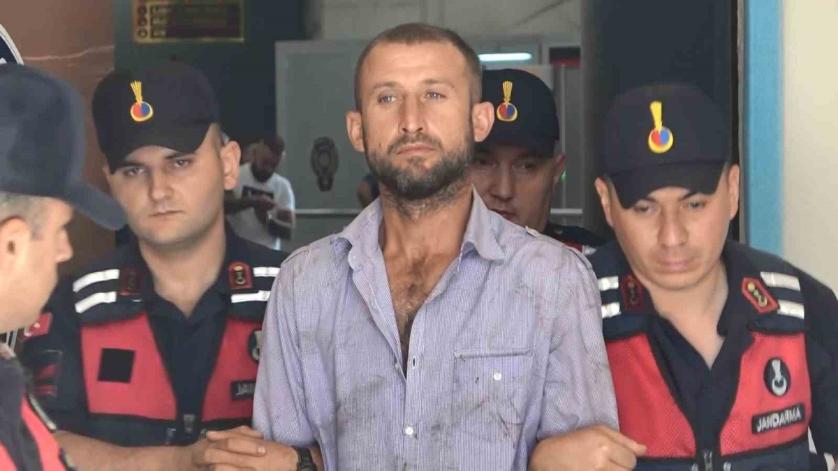 Önce evini, sonra ormanı ateşe veren şahıs tutuklandı

