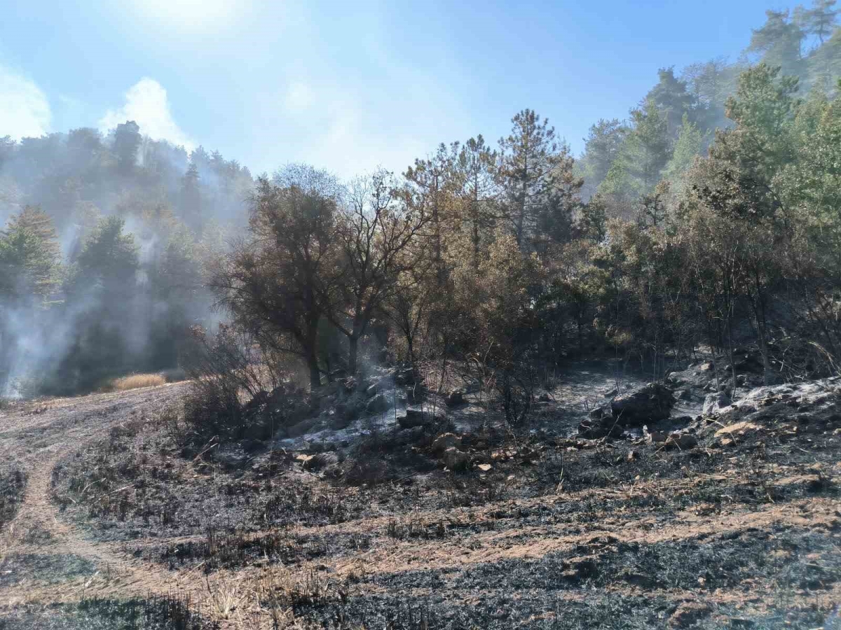 Bolu’da orman yangını kontrol altına alındı
