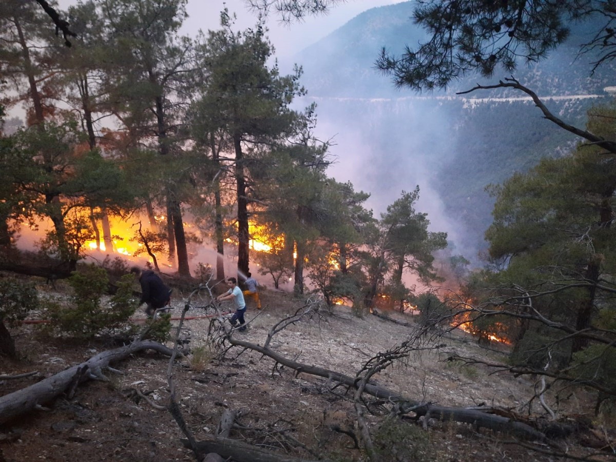 Bolu’da orman yangını devam ediyor